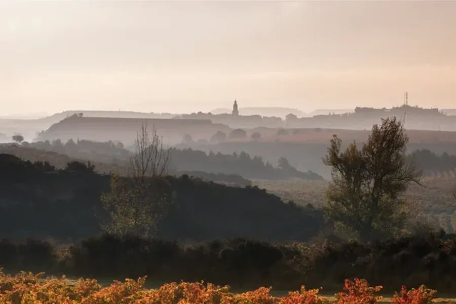 bodega Bodegas Roda