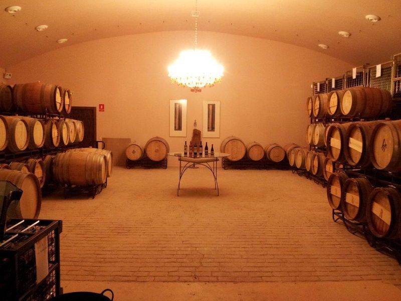 bodega Bodegas Morosanto