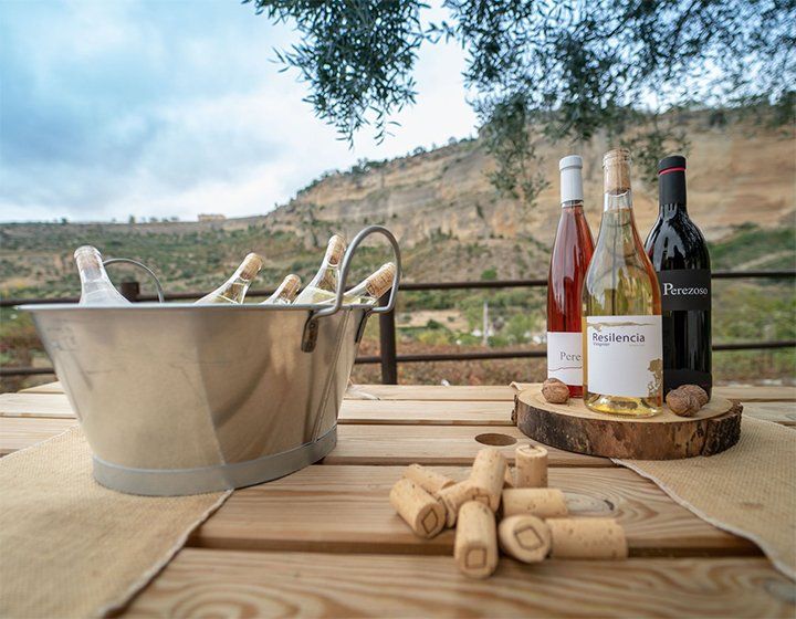 bodega Bodega Gonzalo Beltrán