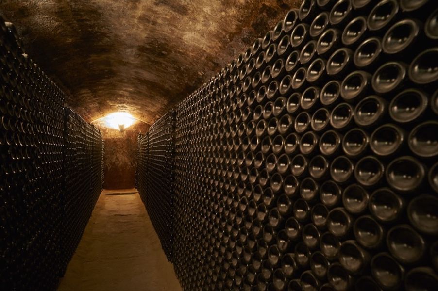 bodega  Bodegas de Alberto