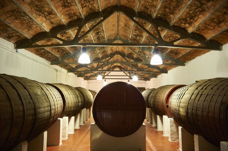 bodega  Bodegas de Alberto