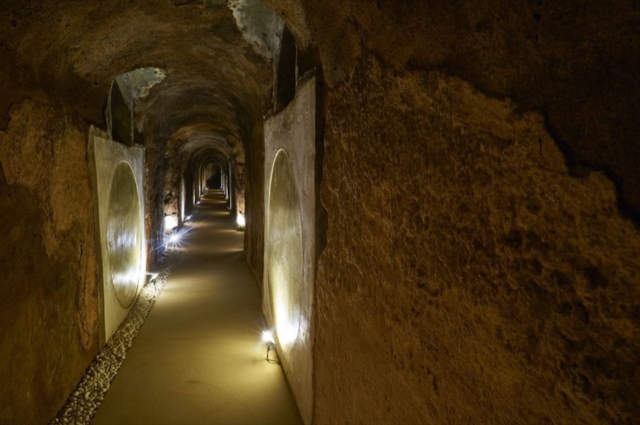 bodega  Bodegas de Alberto