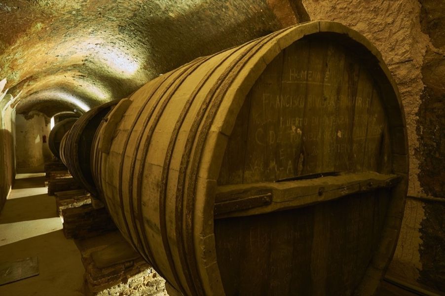 bodega  Bodegas de Alberto