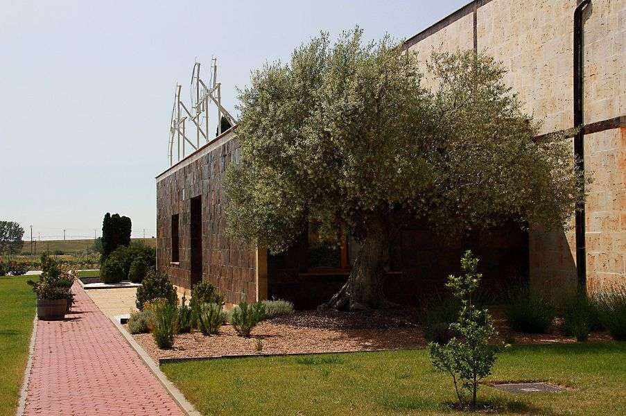 bodega San Román