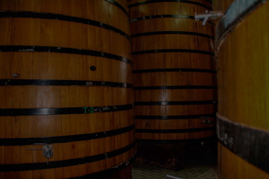 bodega Bodegas Vitivinos