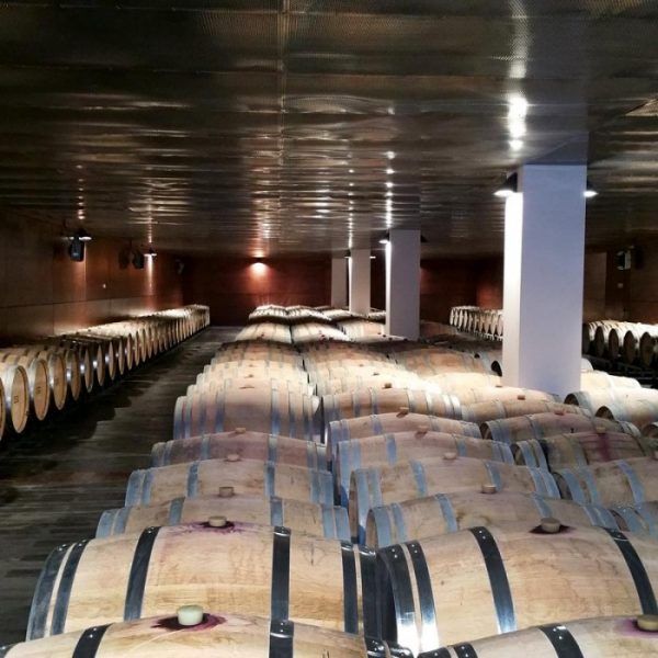 bodega Bodegas Habla