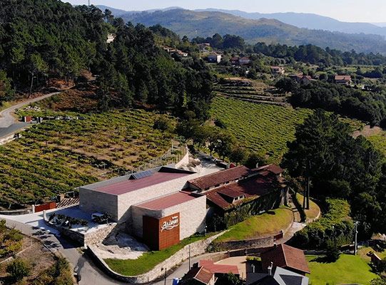 bodega Bodegas As Laxas