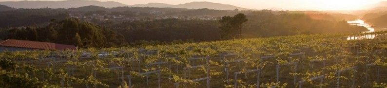 bodega Bodegas Viña Nora