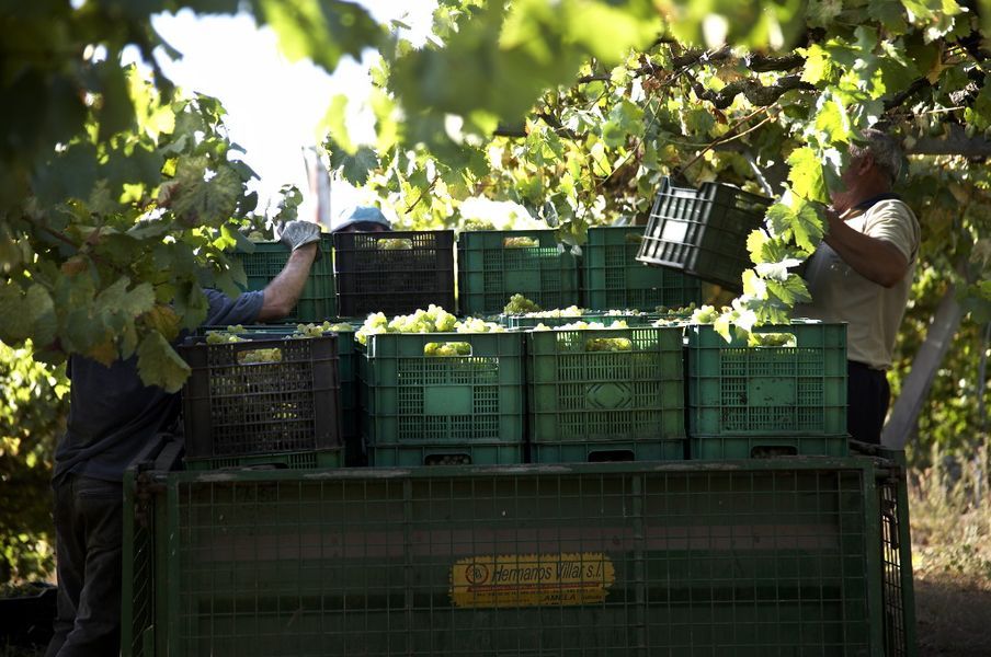 bodega Adega Valdés