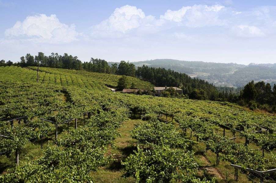 bodega Adega Valdés