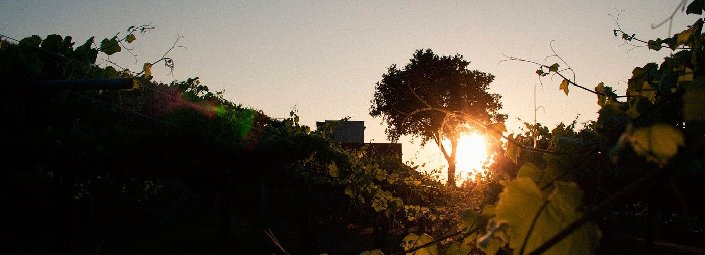 bodega Bodegas Carballal