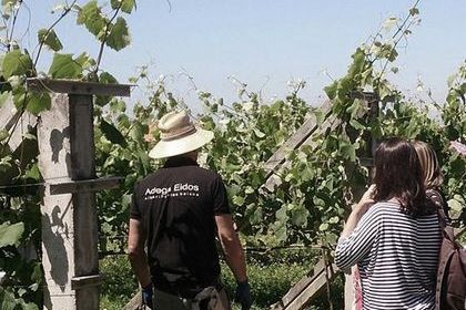 bodega Adega Eidos