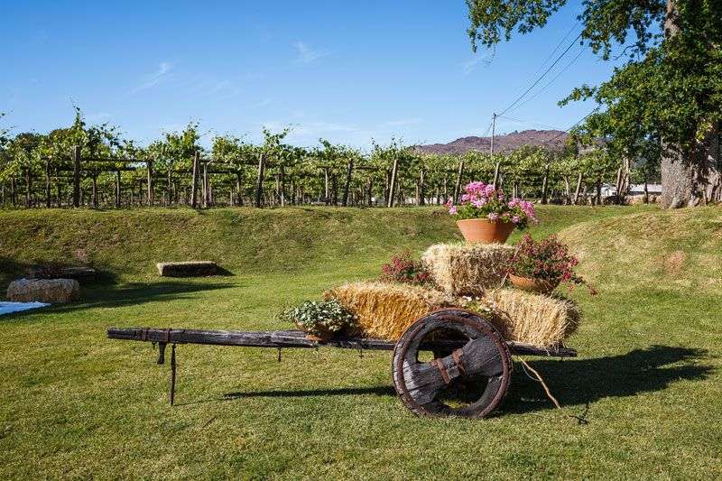 bodega Quinta Couselo