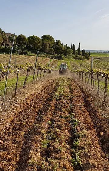 bodega Bodegas Monte Odina