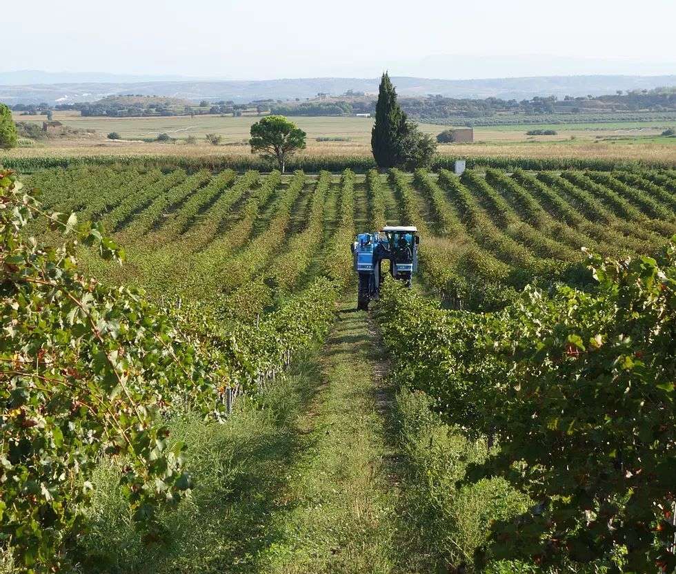 bodega Bodegas Monte Odina