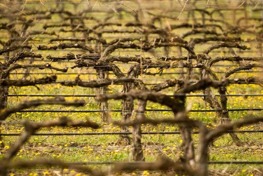 bodega Bodegas Batán de Salas de Beroz