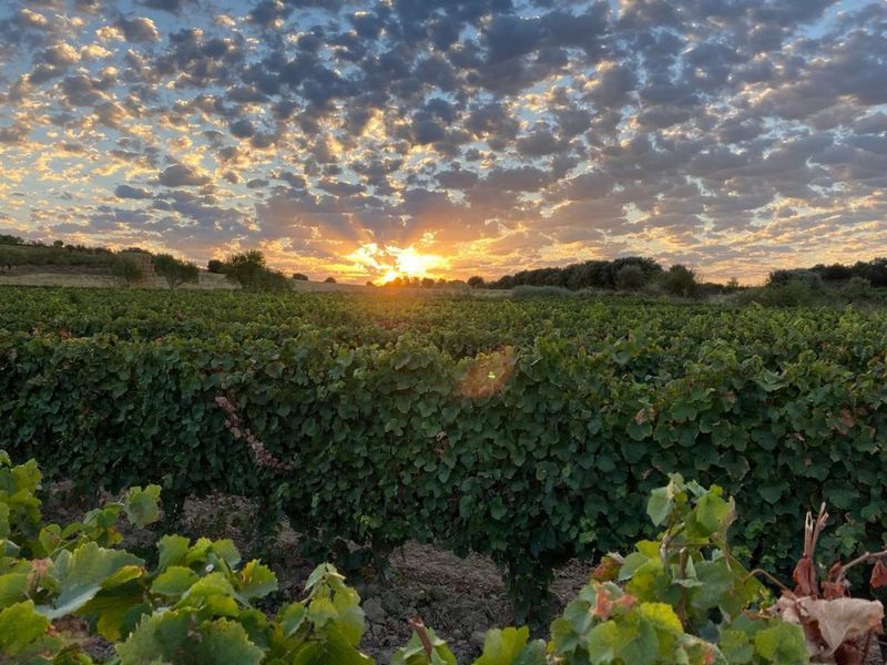 bodega Bodegas Batán de Salas de Beroz