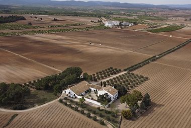 bodega Finca Hoya de Cadenas