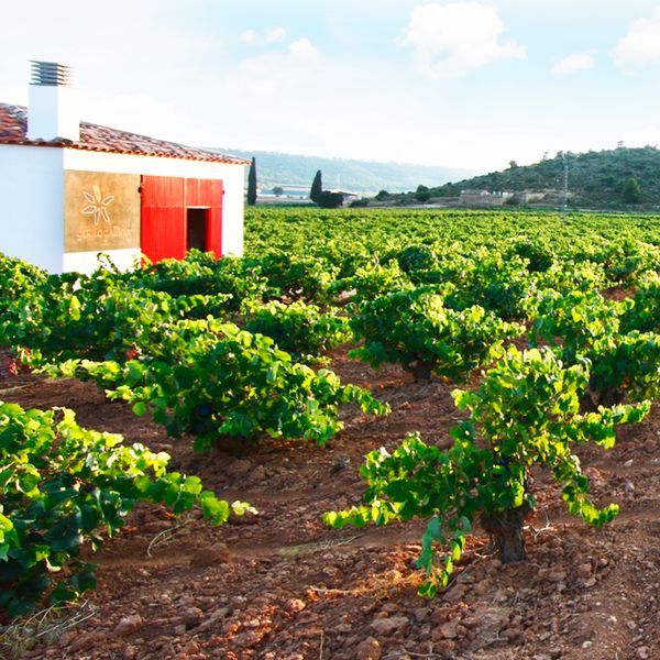 bodega Cerrogallina 