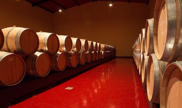 bodega Ferratus