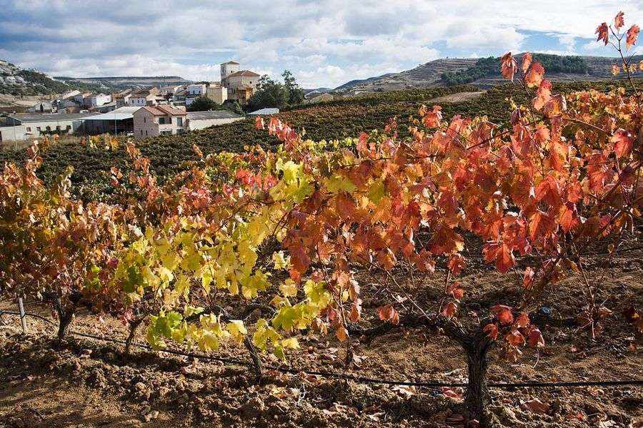 bodega Convento de Oreja