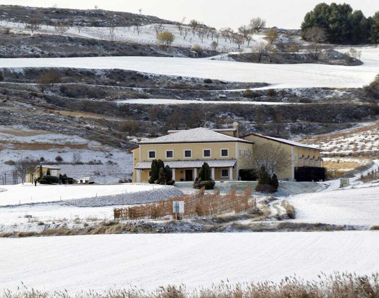 bodega Vinos de La Luz