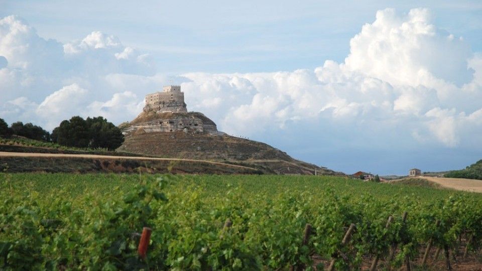 bodega Bodegas Comenge