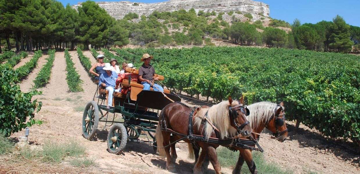 bodega Bodegas Comenge