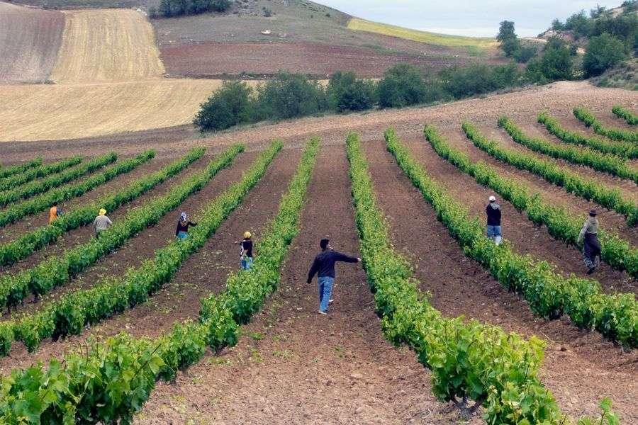 bodega Balbás