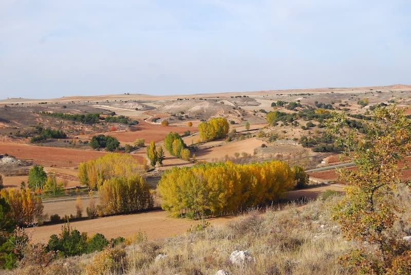 bodega Prado de Olmedo