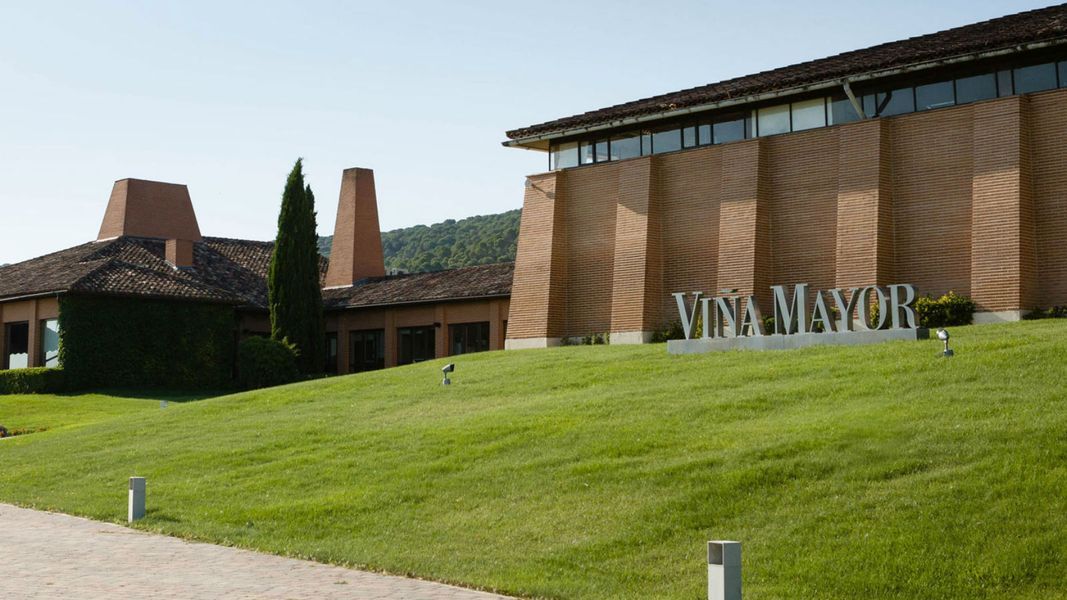 bodega Viña Mayor