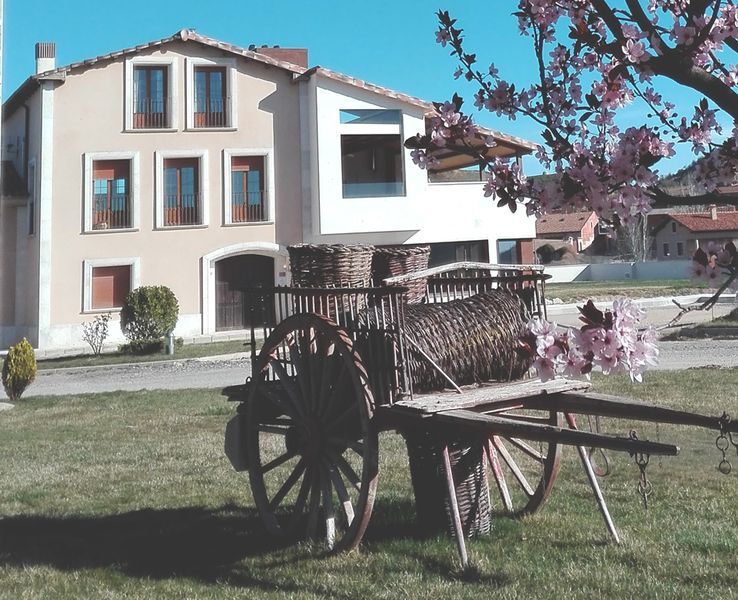 bodega Arrocal