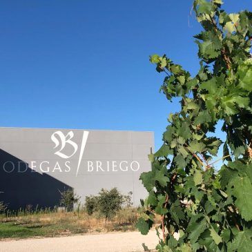 bodega Briego