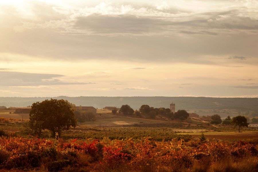 bodega Cillar de Silos