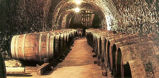 bodega Bodegas Pascual