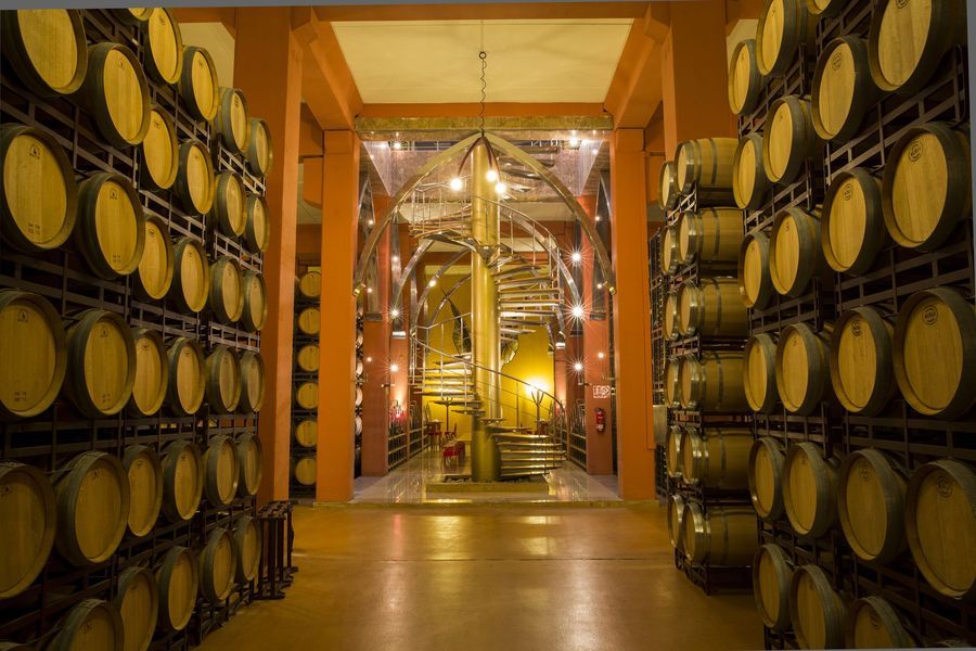 bodega Pagos del Rey - Ribera del Duero