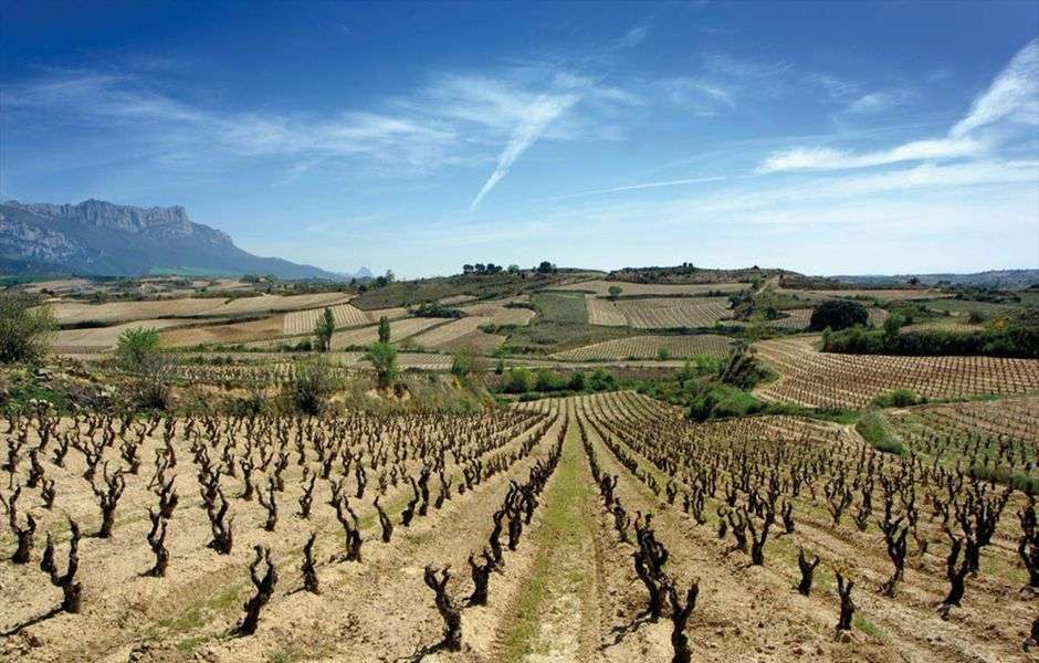 bodega Pascual Larrieta