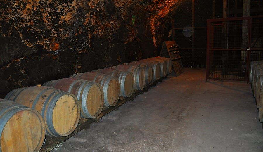 bodega Bodegas Buenpaso