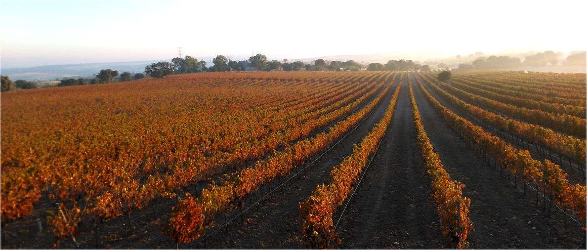 bodega Bodegas La Casa de Monroy