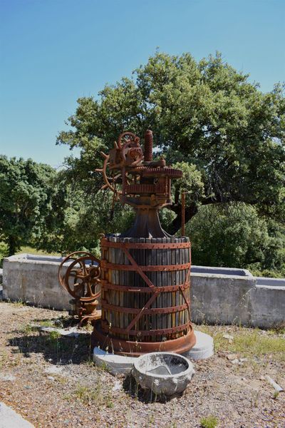 bodega Bodegas Nueva Valverde