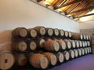 bodega Bodegas Peral