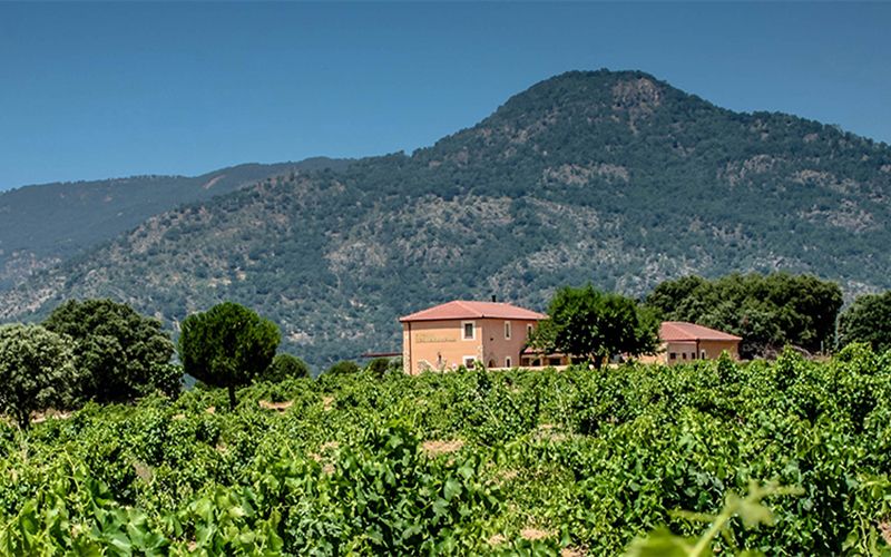 bodega Bodegas Valleyglesias