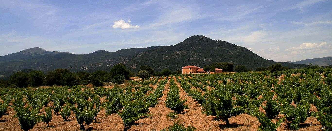 bodega Bodegas Valleyglesias