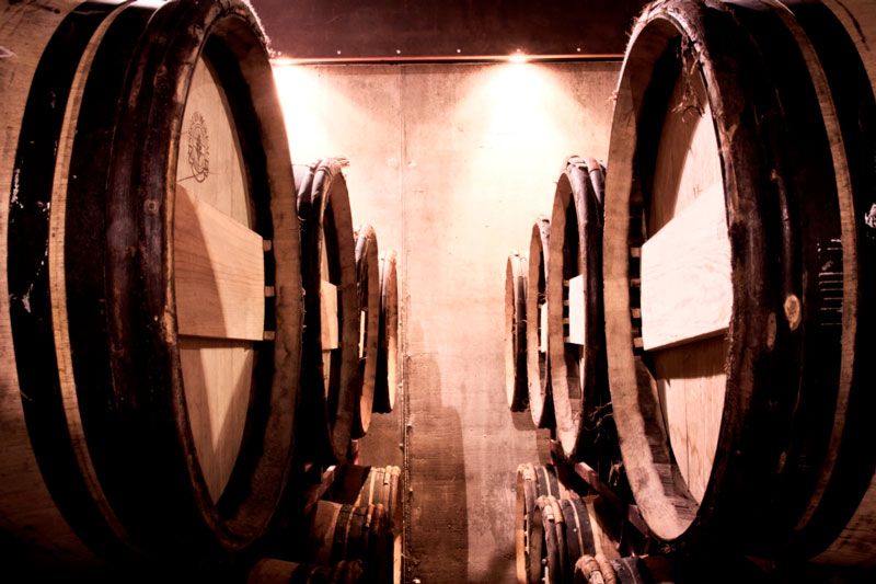 bodega Viñas El Regajal