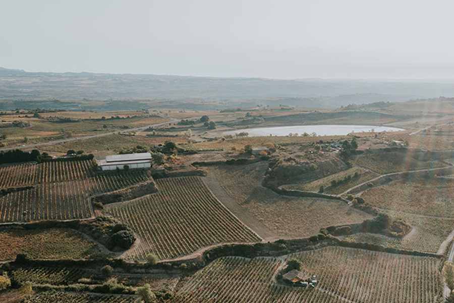 bodega Belasco de Baquedano