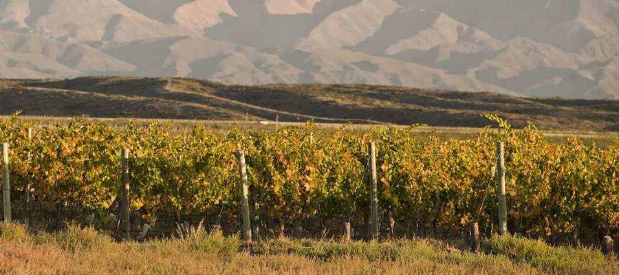 bodega Finca Ferrer