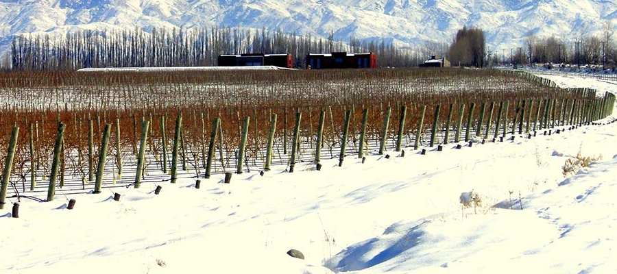 bodega Finca Ferrer