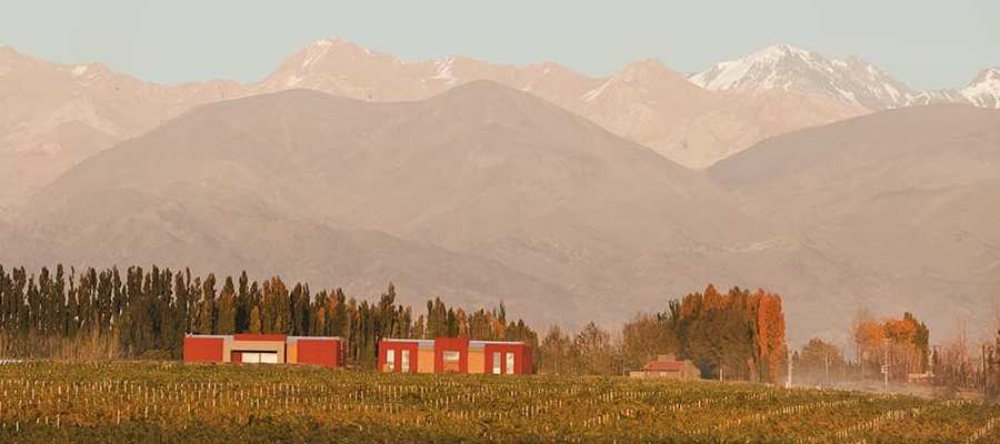 bodega Finca Ferrer