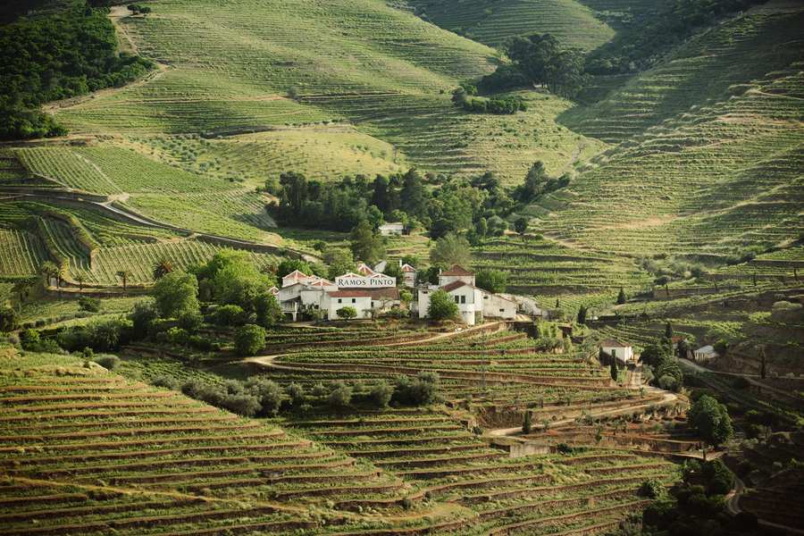 bodega A. Ramos Pinto - Vila Nova de Gaia