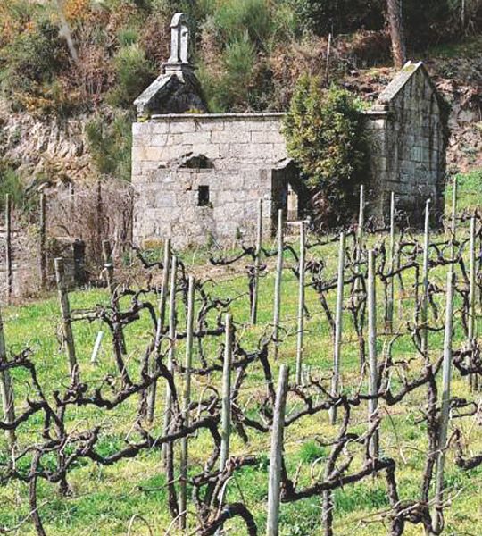 bodega Quinta de Lourosa